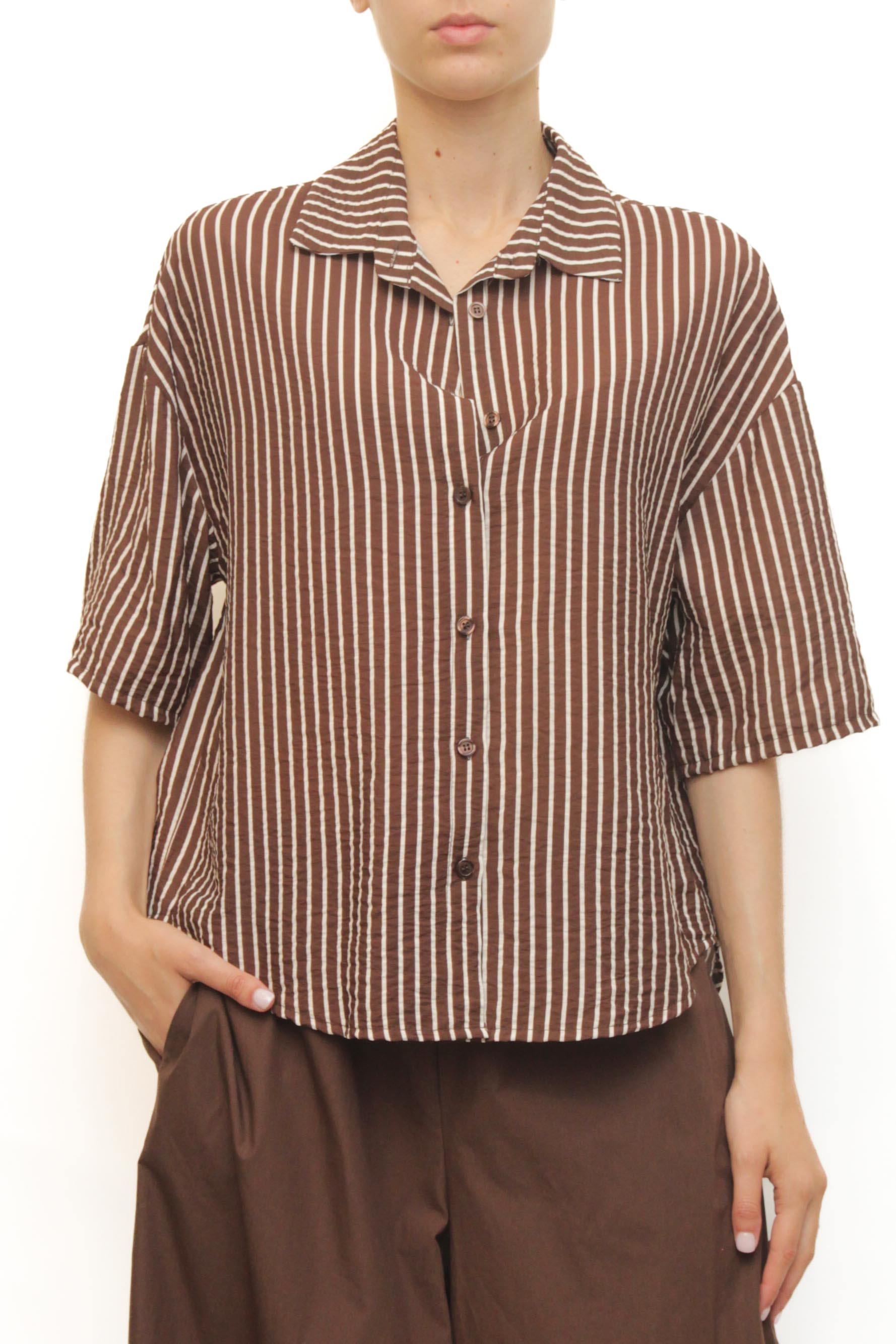 LEVH - Camicia Concord - Riga moka/bianco