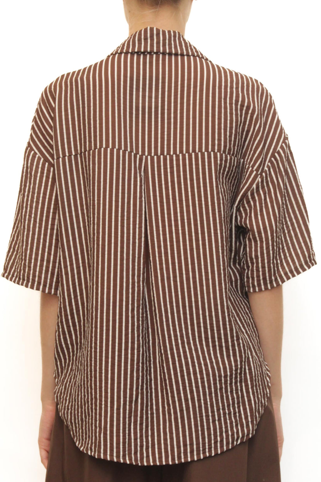 LEVH - Camicia Concord - Riga moka/bianco