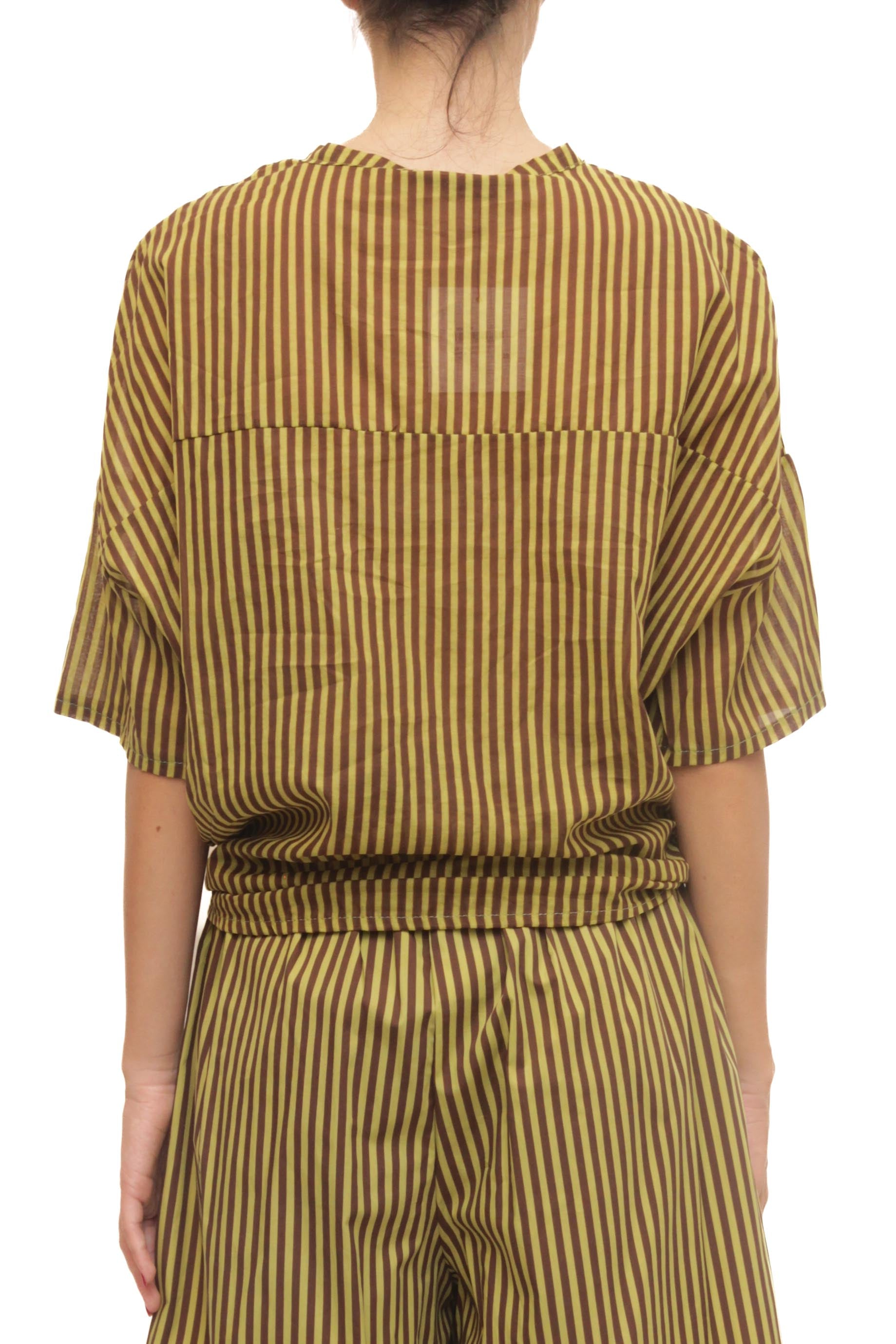 LEVH - Camicia Clemency - Riga pistacchio/marrone