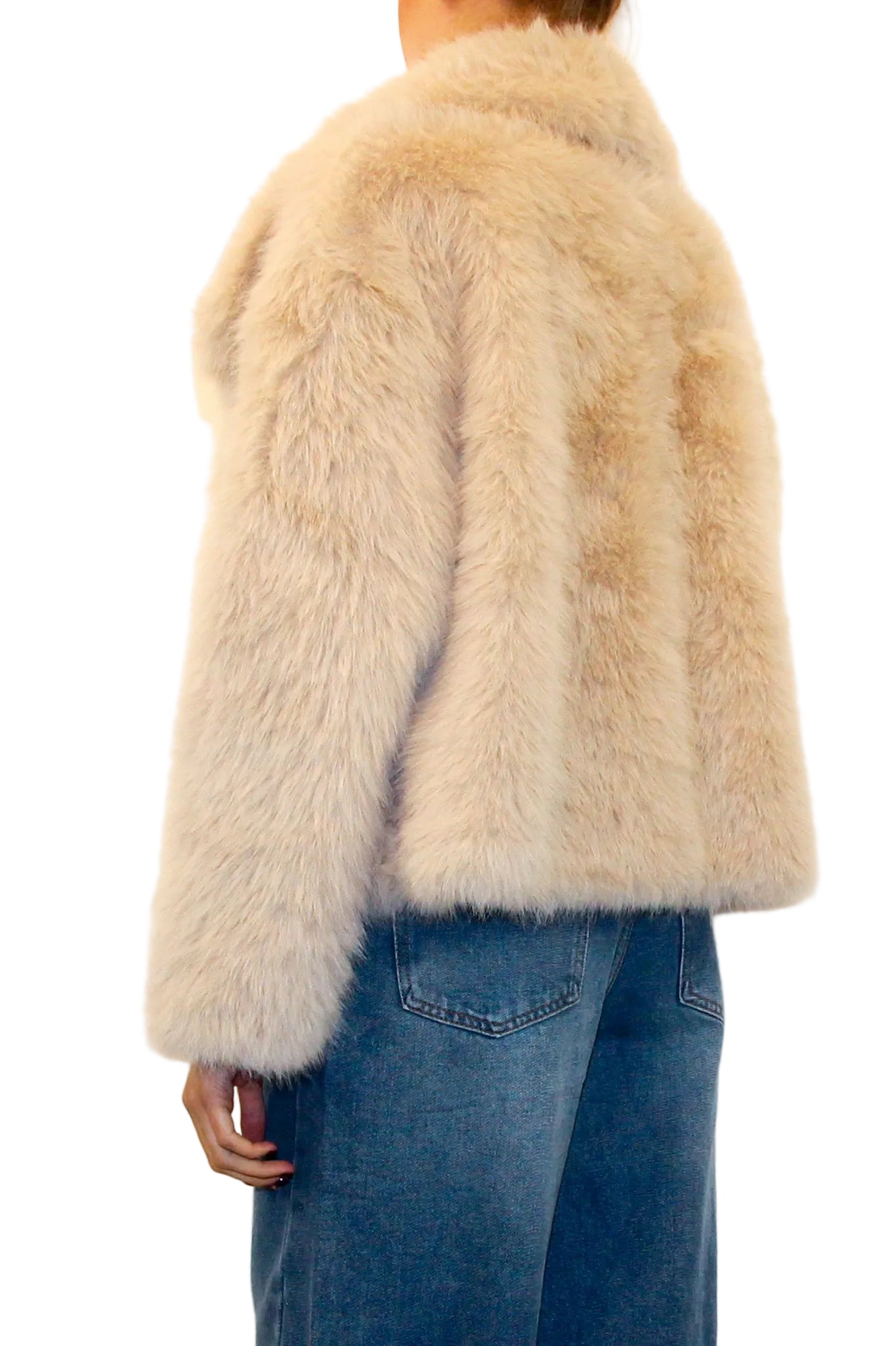 LEVH - PELLICCIA ASIA - PANNA